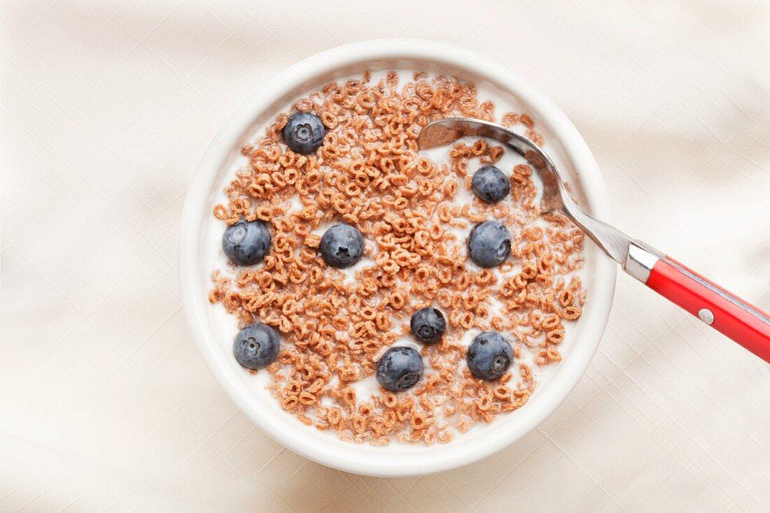 Bowl of Cold Cereal with Milk and … – License Images ...