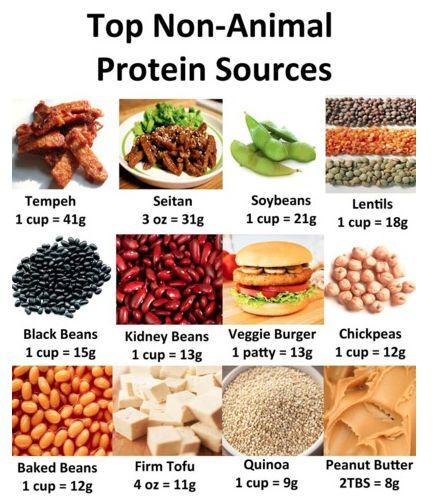 vegan - proteins