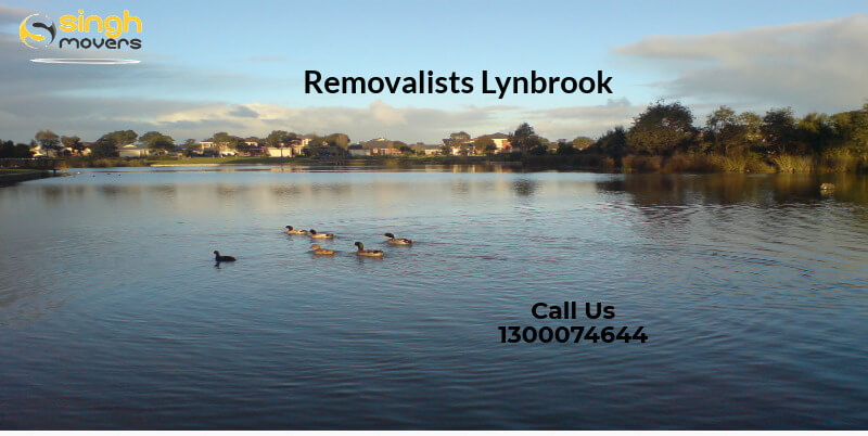 removalistys lynbrook