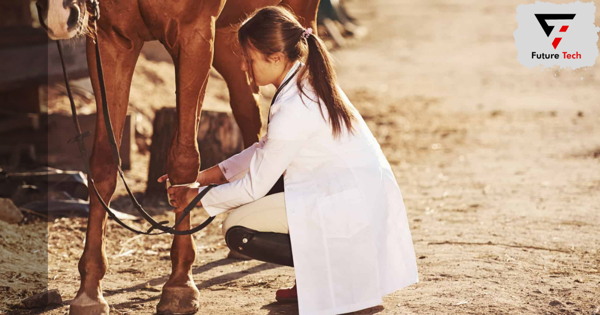 treatment of splints in horses