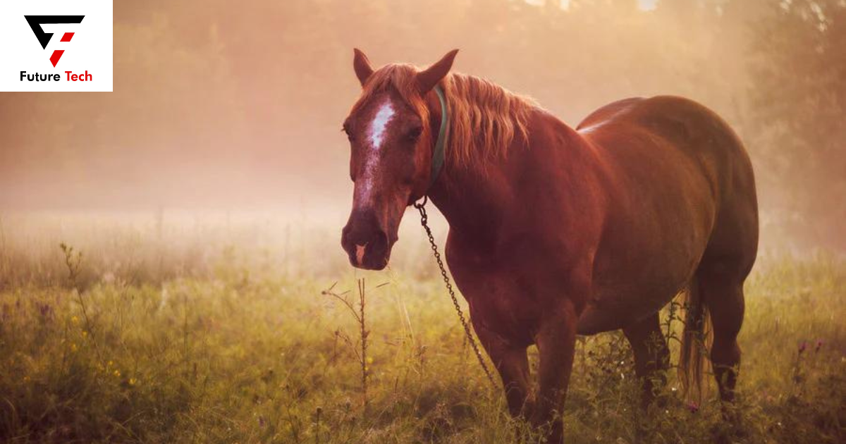 horses have intelligence 