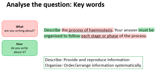 A screenshot of a document showing an annotated question. 