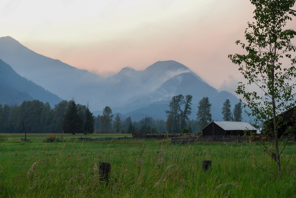 What to Do in Pemberton 