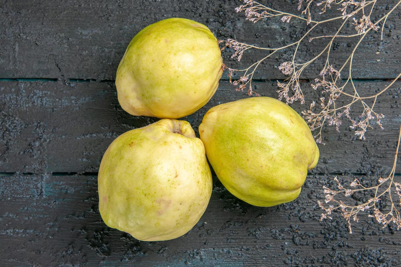 Guava - controindicazioni