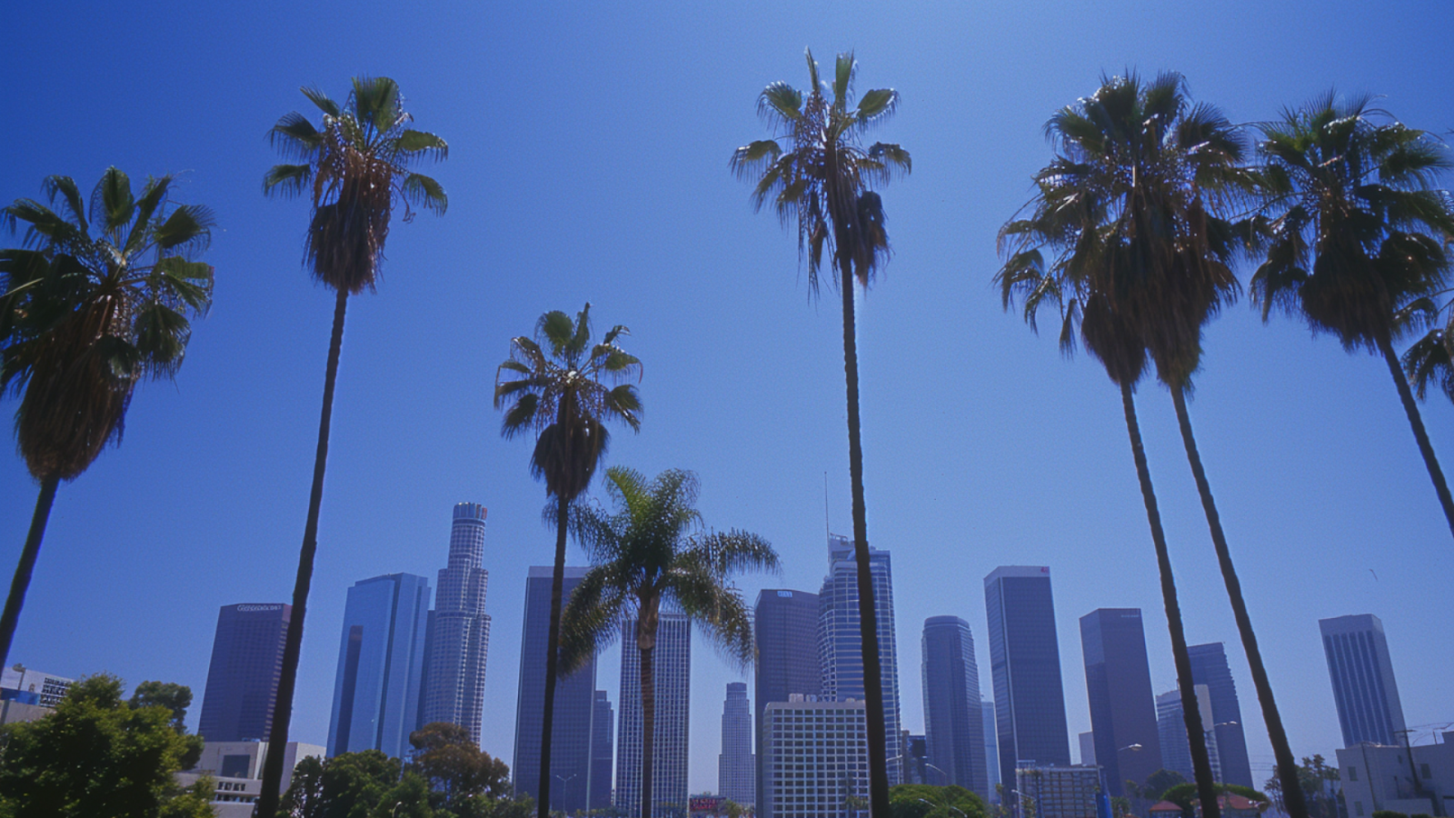 The city skyline of Los Angeles with palm trees in the foreground