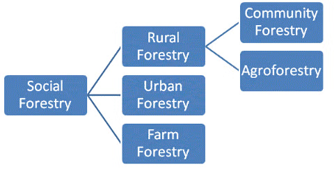 Types of Social Forestry