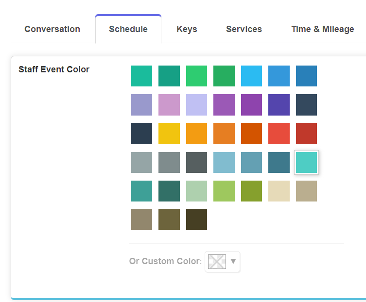 screenshot of default colors and custom color option