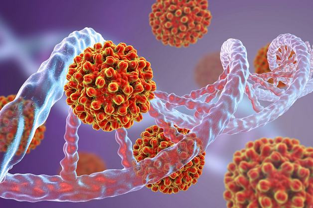 Virus viêm gan B có thể lây truyền qua đường máu, từ mẹ sang con và qua quan hệ tình dục
