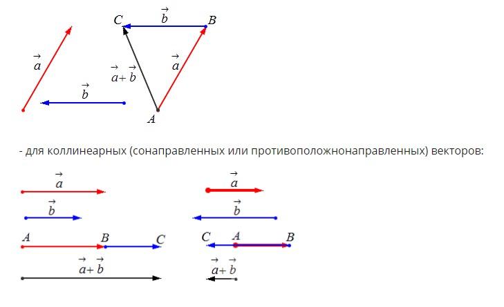 Векторы: описание, возможные операции