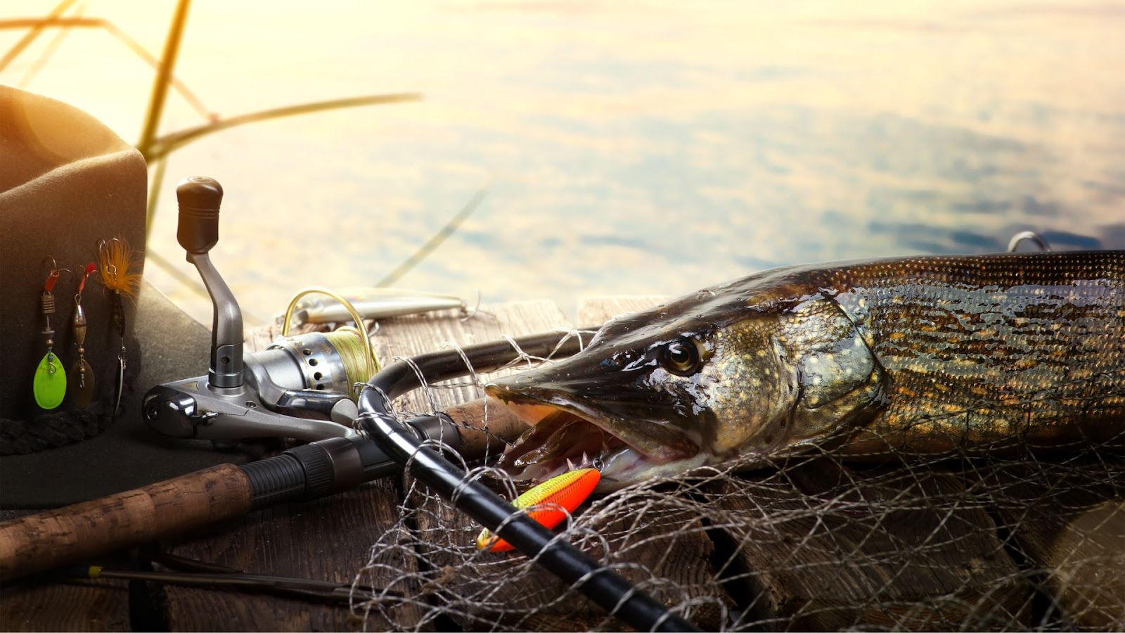 All About Pike Fish - Gear and Tackle for Pike Fishing