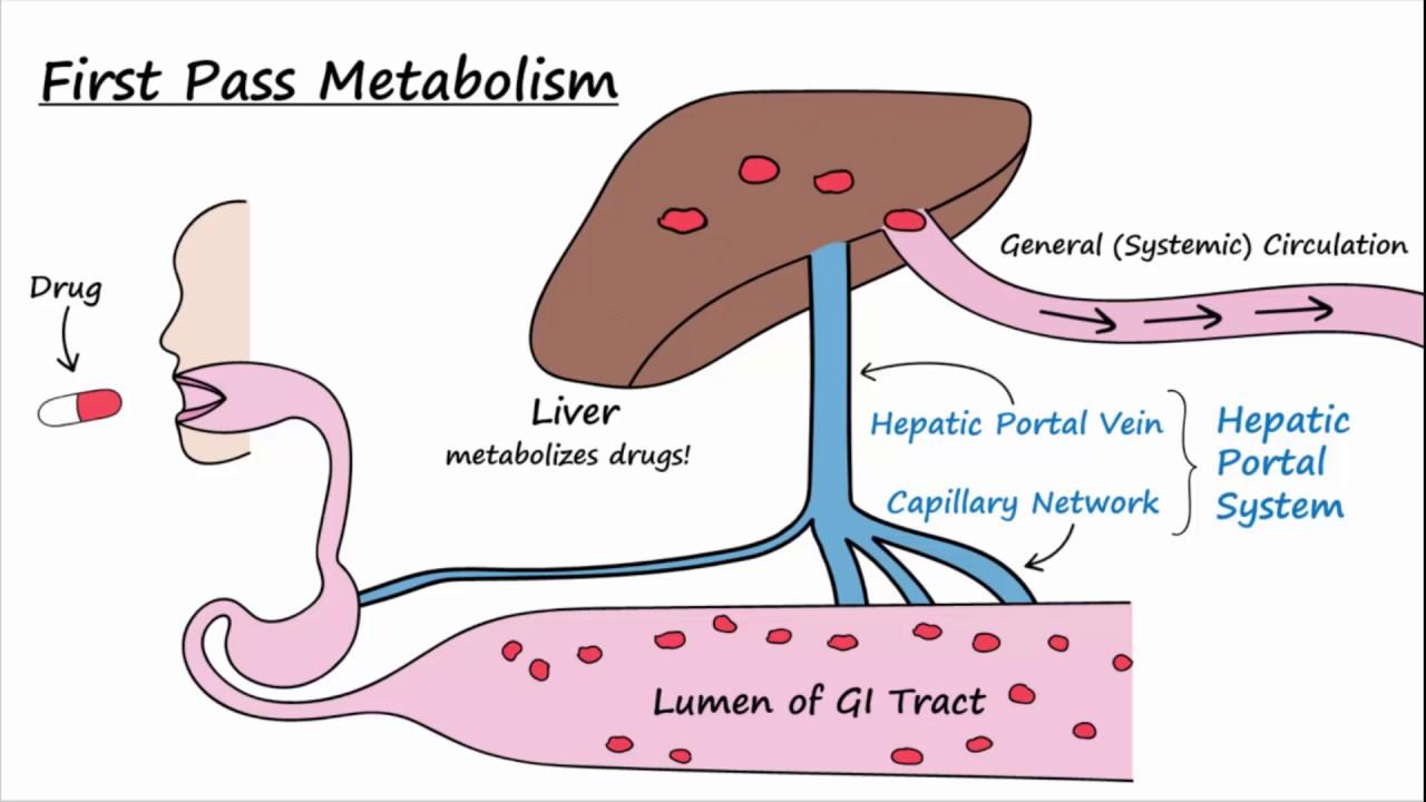 Bioavailability and First Pass Metabolism - YouTube