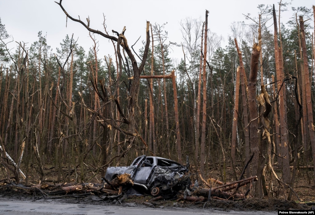 Цивільна автівка і знищений обстрілом ліс під Черніговим. 2022 рік