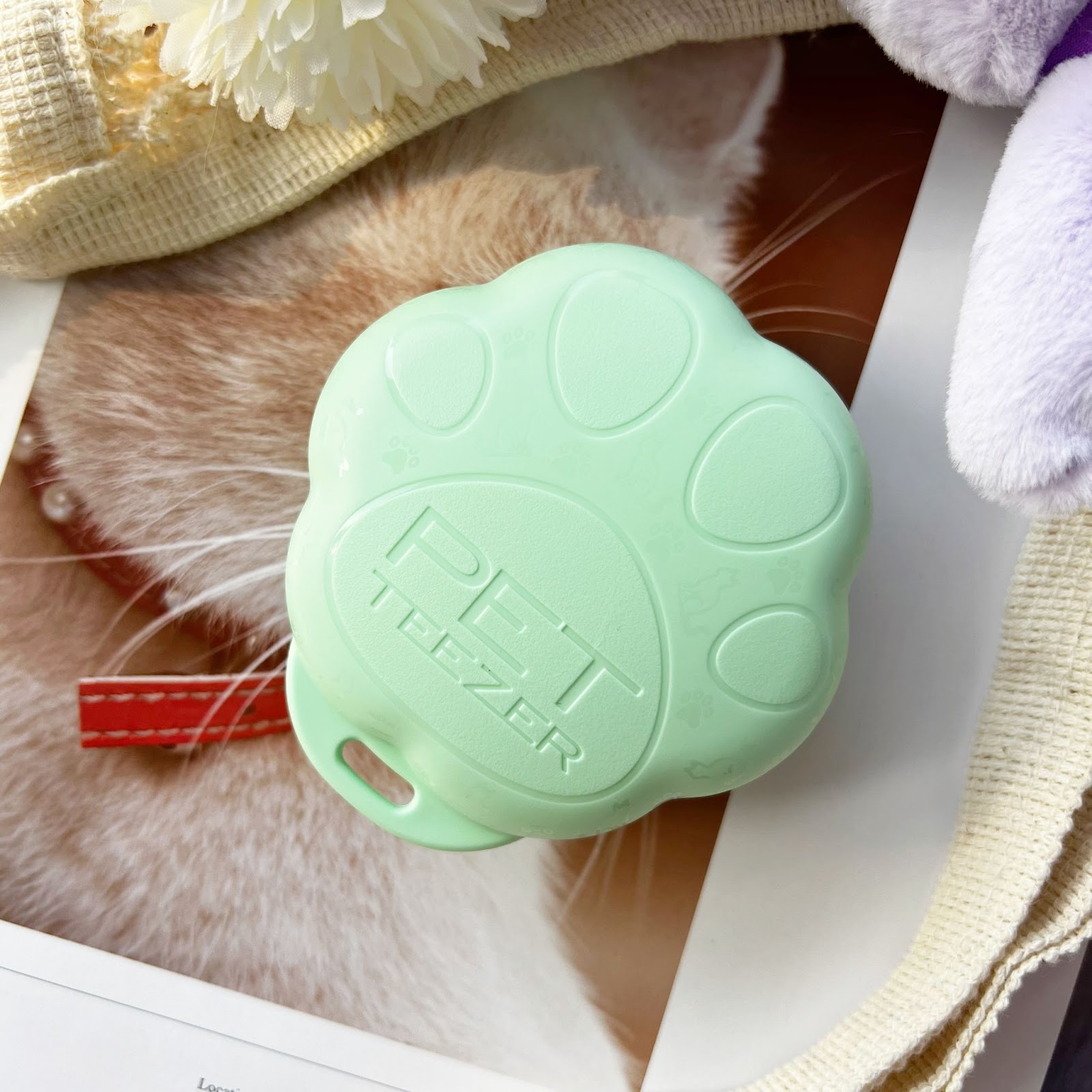 療癒梳毛時光！Tangle Teezer-PET TEEZE