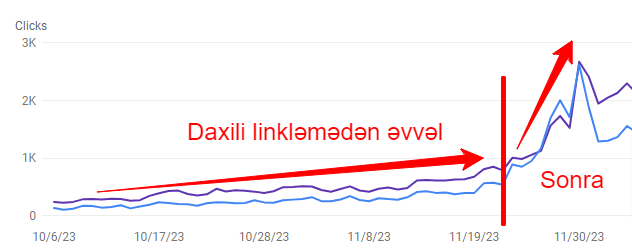 daxili linkləmənin effektivliyini göstərən saytın orqanik traffikinin artım qrafiki