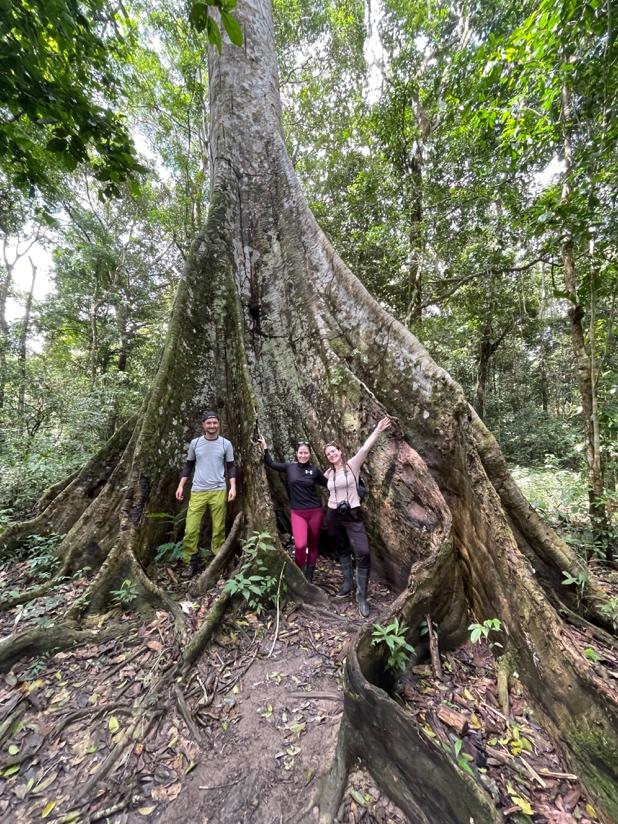 A group of people standing in front of a large tree

Description automatically generated