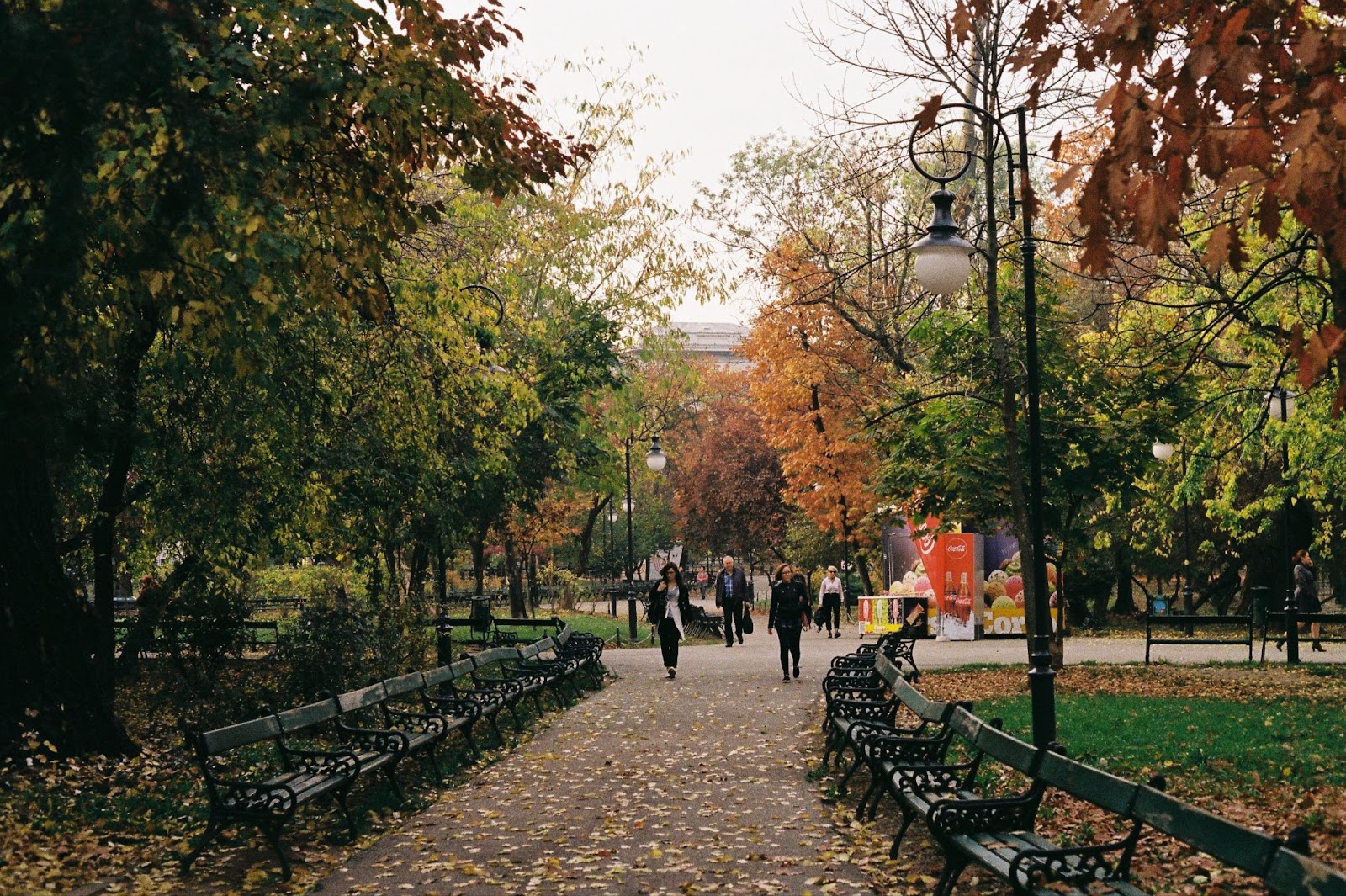 Parcuri din București