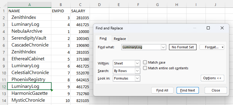 excel find and replace more options