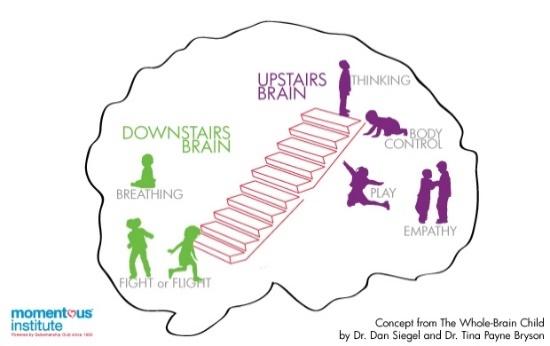 The Two Story Brain: The "Upstairs" and "Downstairs" of Your Mind
