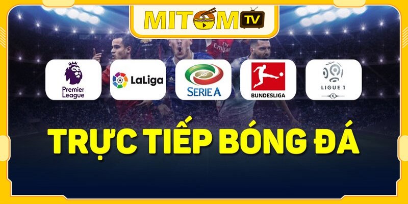 Tất tần tật thông tin về nhà cái trực tuyến bóng đá hàng đầu Mitom TV-2