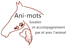 Ani-mots | Soutien et accompagnement par et avec l'animal