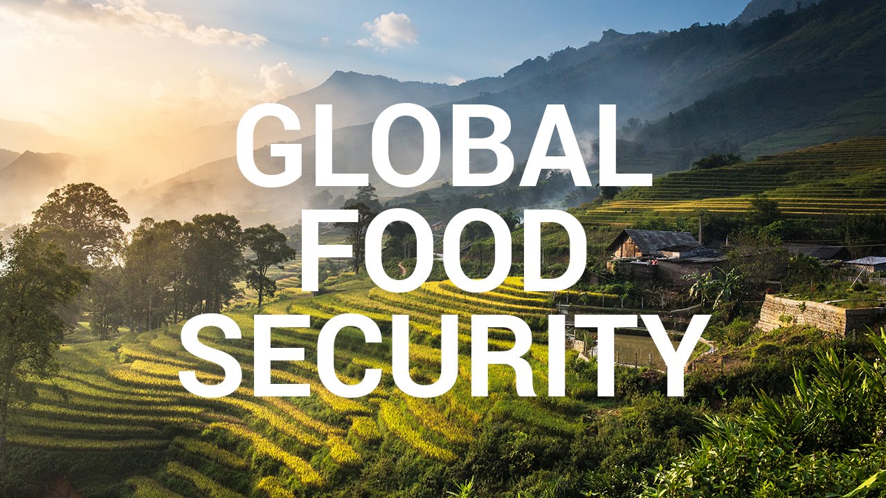 Global Food Security