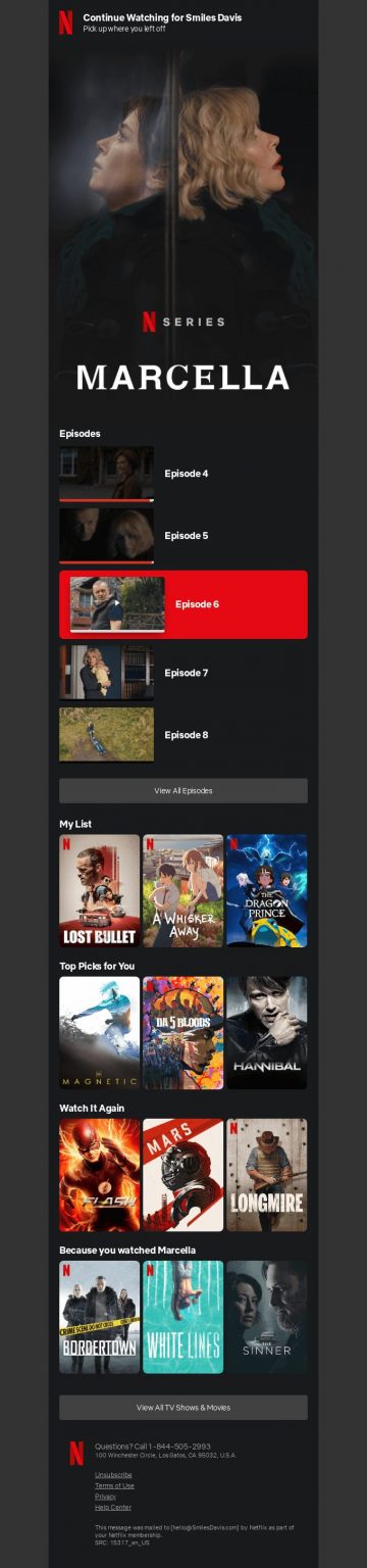 Email marketing campaign example: Netflix