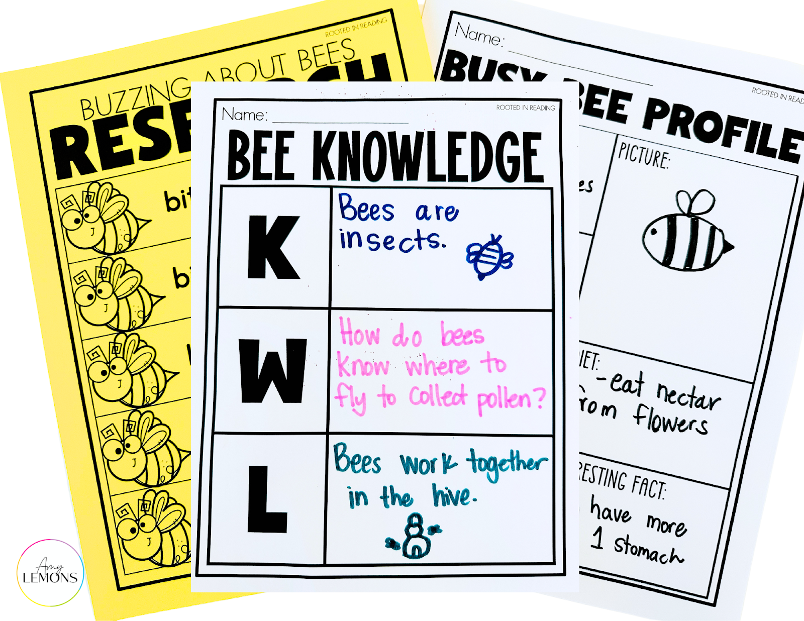 Bee knowledge graphic organizer for teaching KWL 