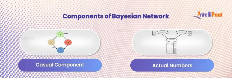 Components of a Bayesian Network