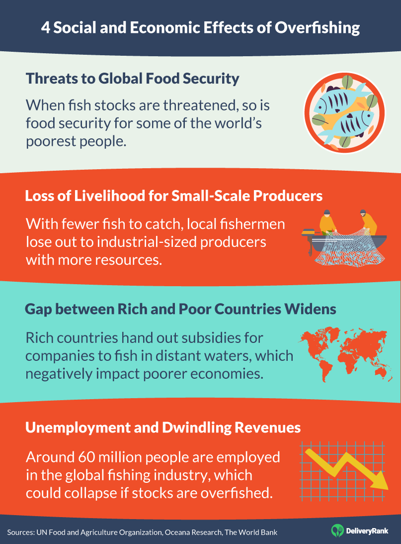 Overfishing: Impacts, Causes, and How You Can Help