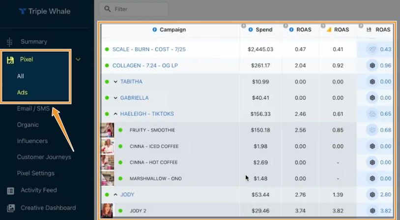 Triple Whale’s Ad section allows you sort data by campaigns, ROAS, and spend.