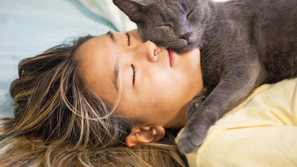 Do Cats Get Sleepy When They Eat?: Feline Slumber Secrets