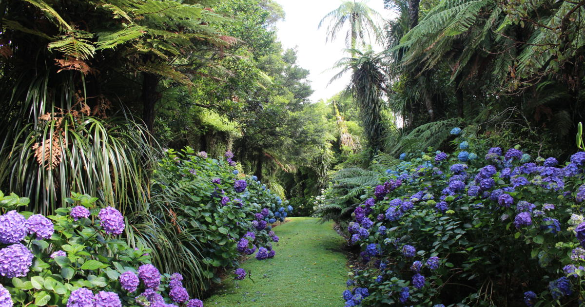 Pukeiti Rhododendron Gardens