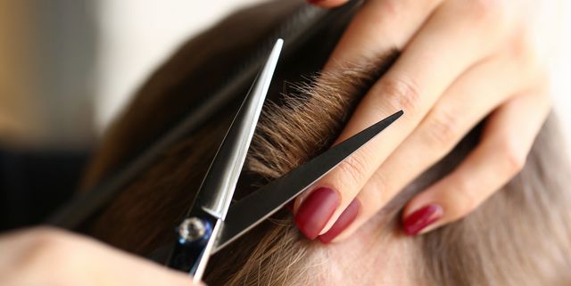 Trimming For A New You