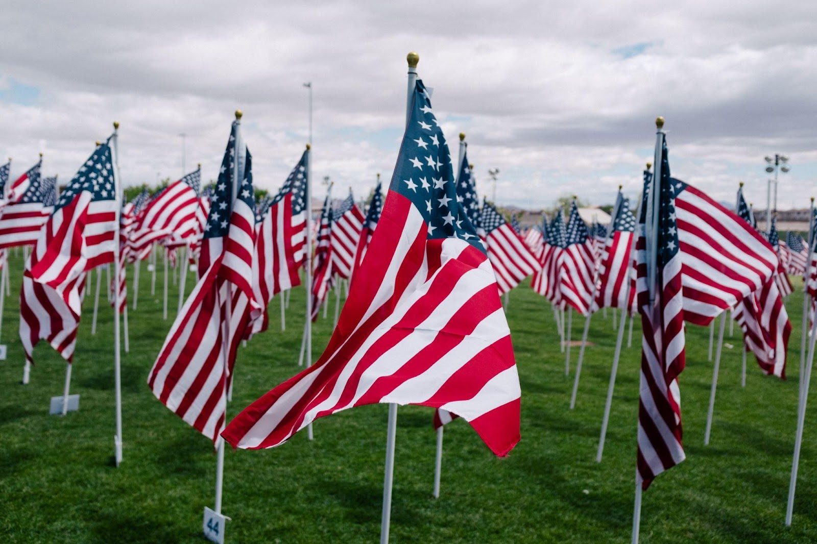 a field of U.S. flags