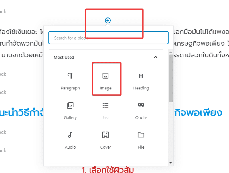 รูปลงบทความ