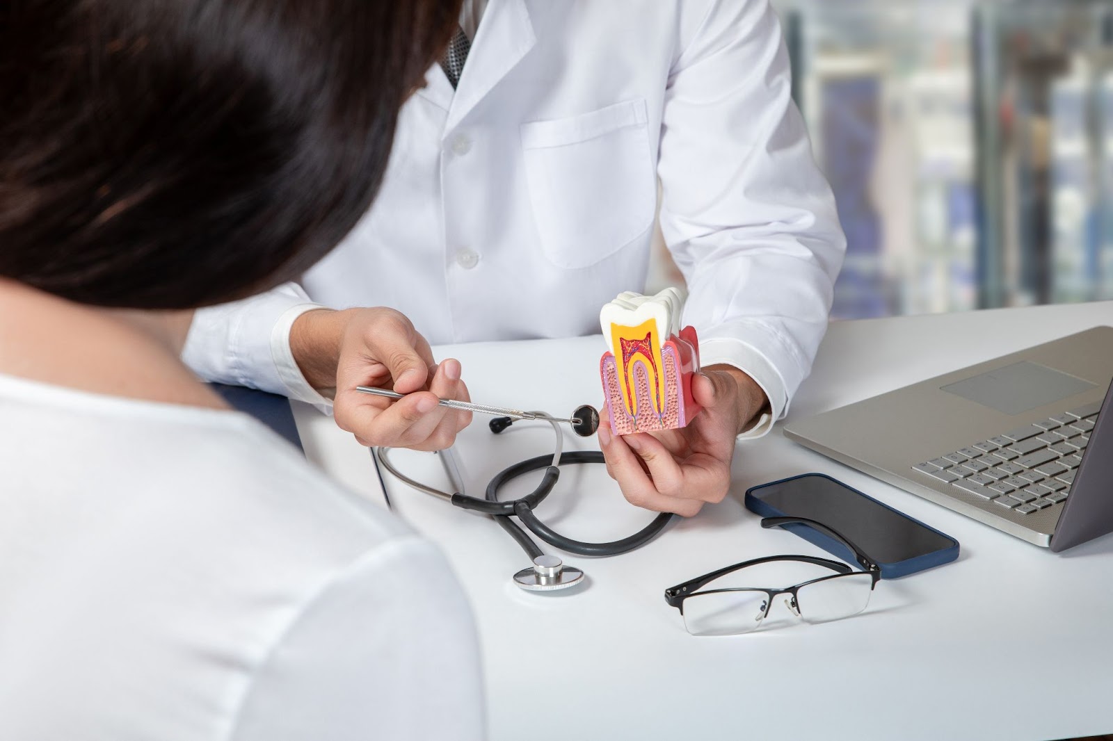 A dentist holding a cross-section model of a tooth explaining the root canal procedure to a female patient.