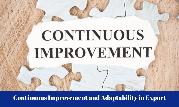 Continuous Improvement and Adaptability in Export