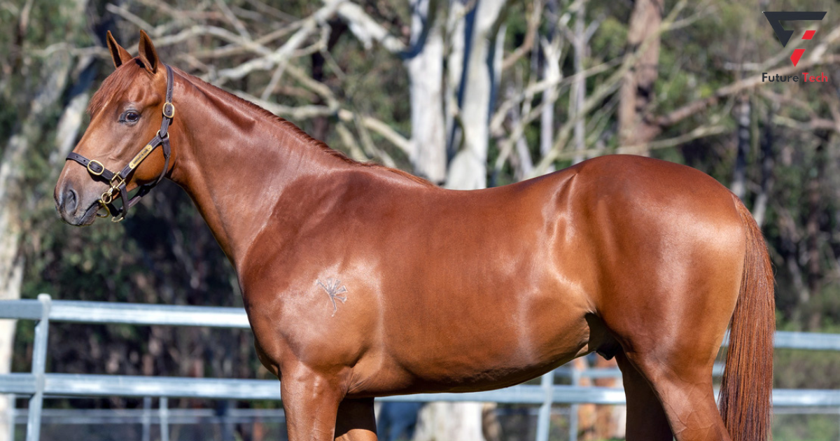 Chestnut: Embracing the Core of Wealth,rare horse