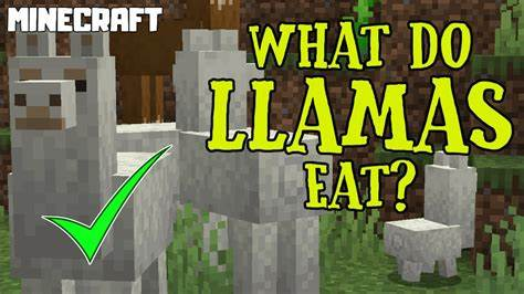 Llamas in Minecraft