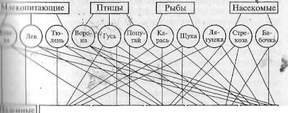 обобщающий урок по экологии