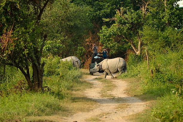 Kaziranga National Park