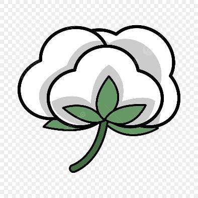 A cotton plant with a green stem

Description automatically generated