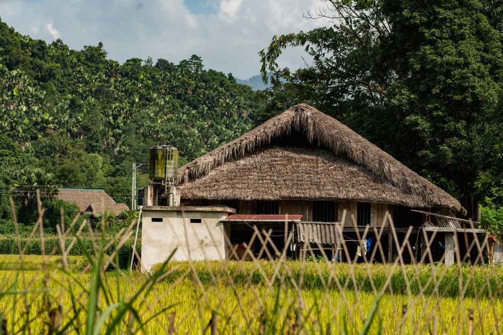A traditional Naga bamboo hut with a sloping thatch roof