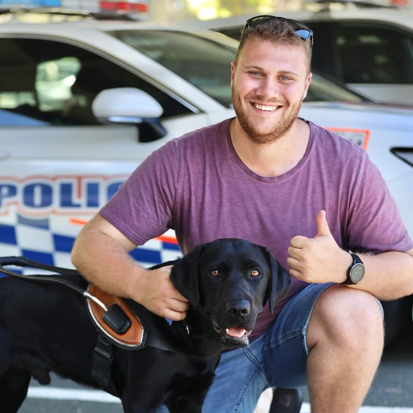 Puppy 'Davey' Named for Late Deception Bay Officer Nears Completion of