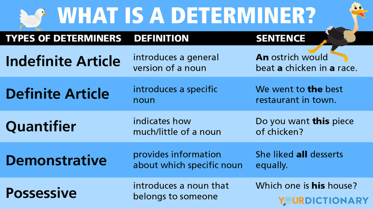 t-h-n-nh-determiner-l-g-c-c-lo-i-t-h-n-nh-v-c-ch-s-d-ng