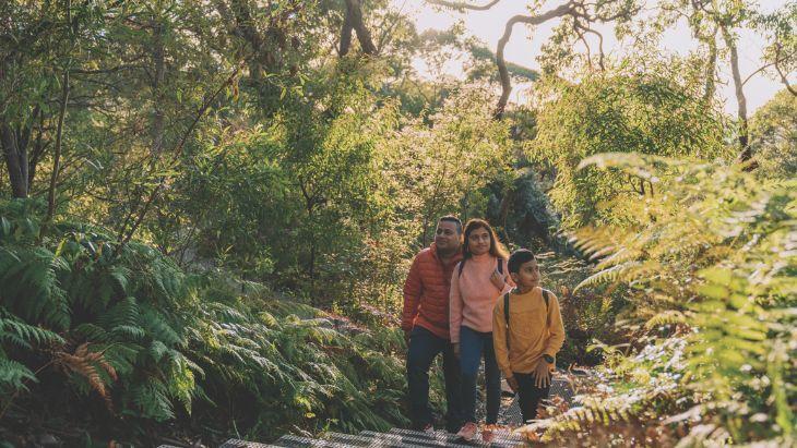 Middle Head to Georges Heights