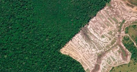Satellites - Deforestation - HSAT