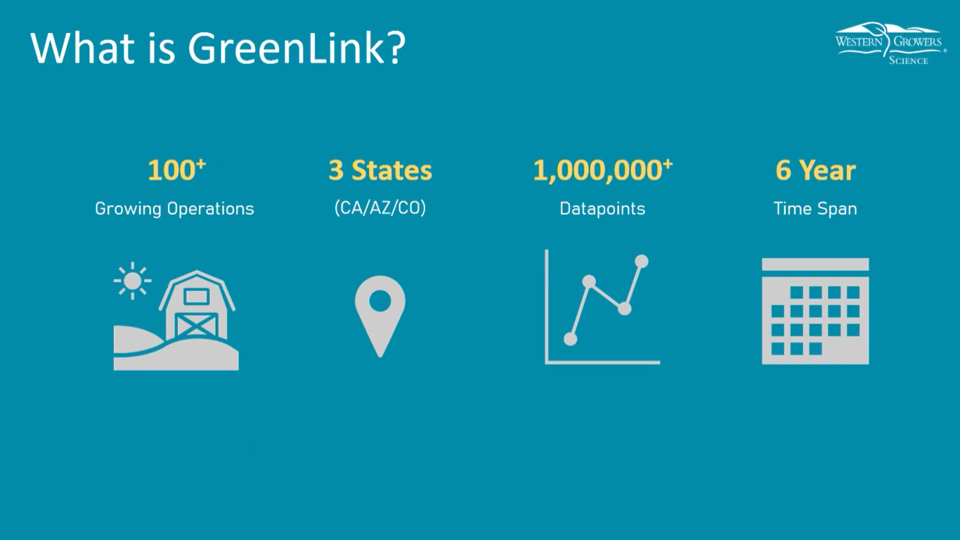 What is greenlink?