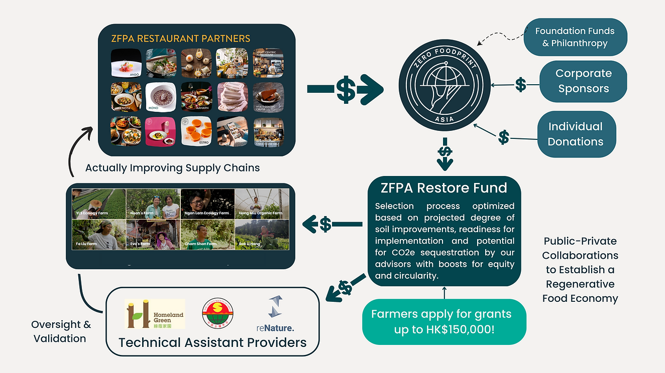ZFPA 的捐贈循環模型﻿, Echo Asia Communications