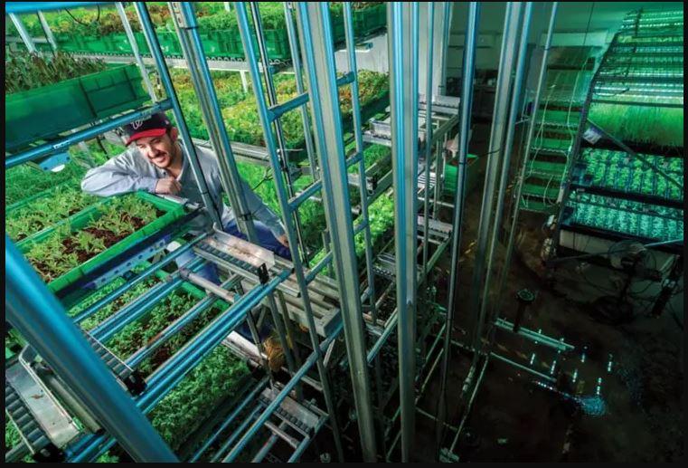 C:\Users\PROCONTEC LTD\Desktop\Agritech Digest Kenneth\How foods are grown images\empty offices.JPG